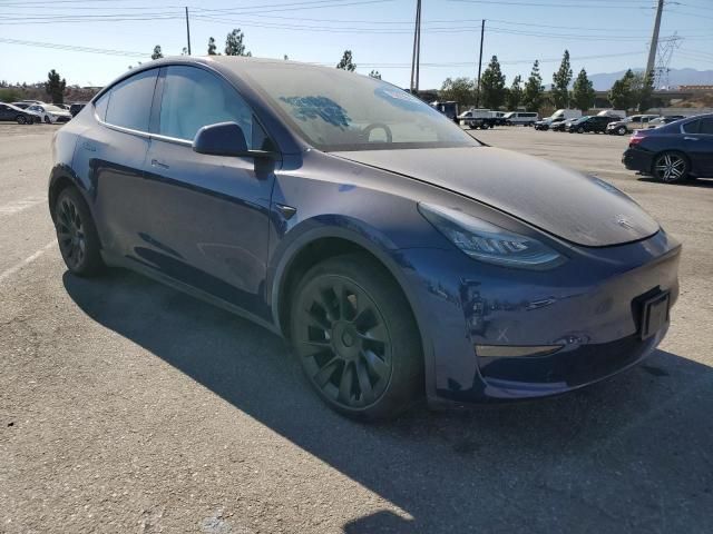 2020 Tesla Model Y