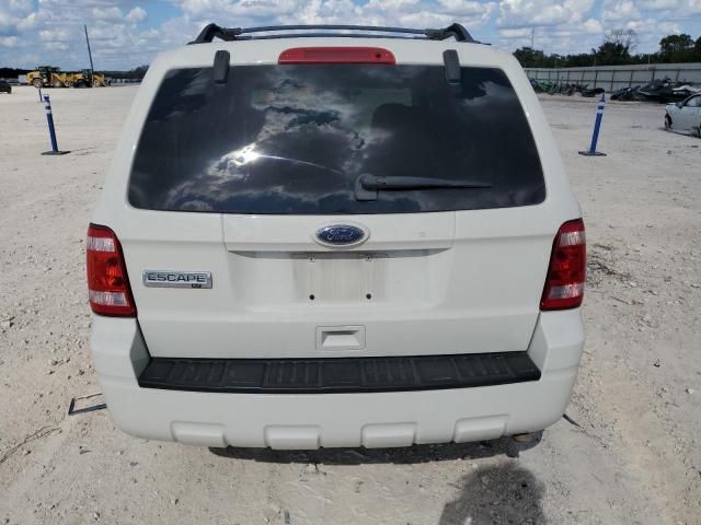 2010 Ford Escape XLT