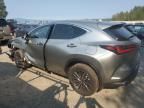 2024 Lexus NX 350H Base