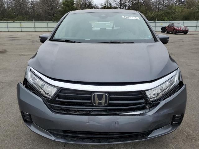 2023 Honda Odyssey EXL