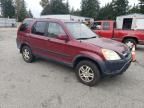 2004 Honda CR-V EX