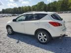 2010 Nissan Murano S