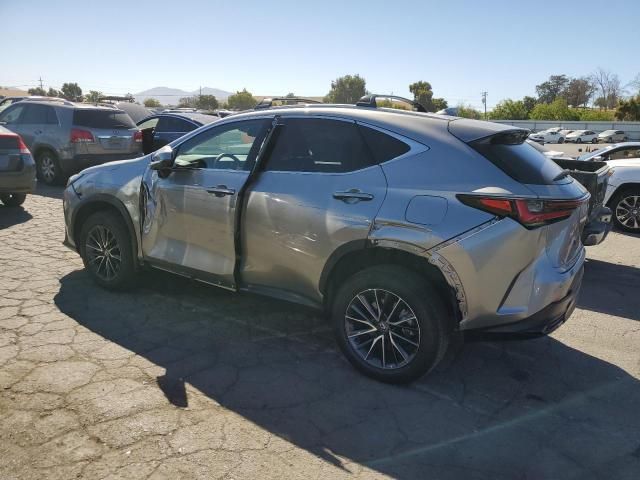 2024 Lexus NX 350H Base