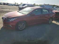 Salvage cars for sale at Indianapolis, IN auction: 2016 Hyundai Sonata SE