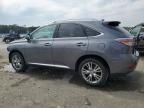 2014 Lexus RX 350