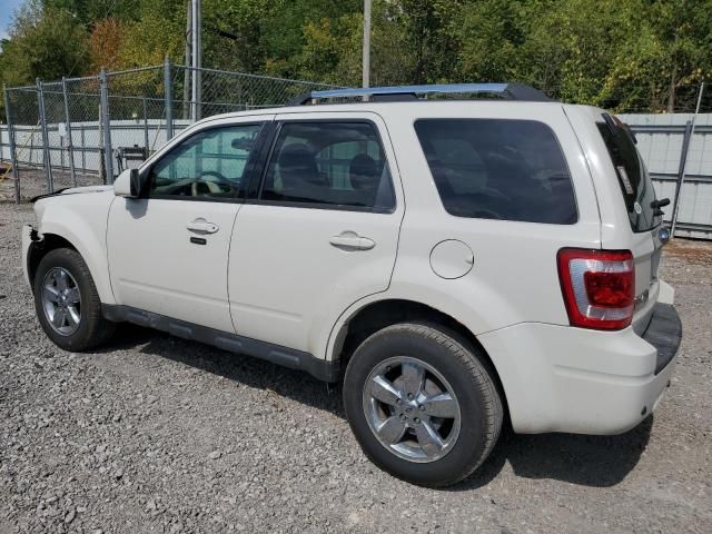 2011 Ford Escape Limited