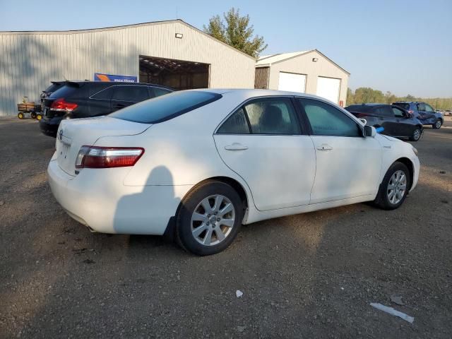 2009 Toyota Camry Hybrid