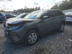 Salvage cars for sale at Arcadia, FL auction: 2023 Toyota Rav4 LE