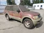 2002 Mitsubishi Montero XLS