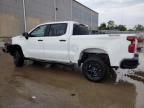 2024 Chevrolet Silverado K1500 Trail Boss Custom