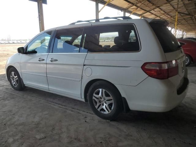 2005 Honda Odyssey EXL