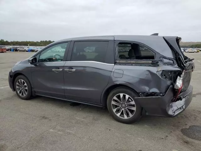 2023 Honda Odyssey EXL