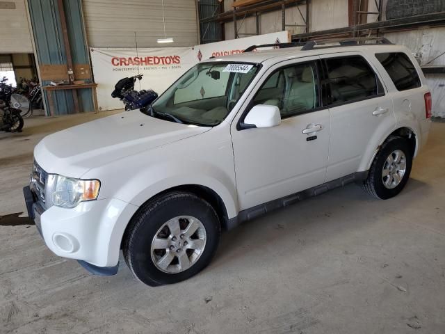 2010 Ford Escape Limited