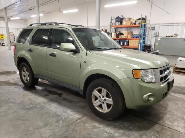 2008 Ford Escape HEV