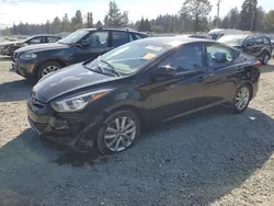 Salvage cars for sale at Graham, WA auction: 2014 Hyundai Elantra SE