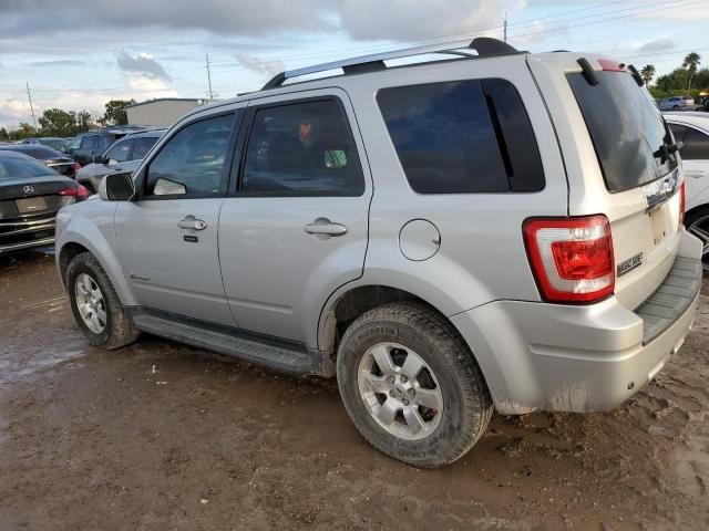 2009 Ford Escape Hybrid