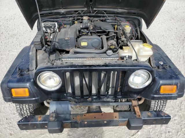 2004 Jeep Wrangler / TJ SE