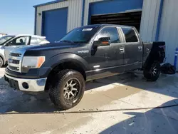 Ford salvage cars for sale: 2014 Ford F150 Supercrew