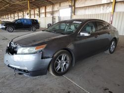 Salvage cars for sale at Phoenix, AZ auction: 2009 Acura TL