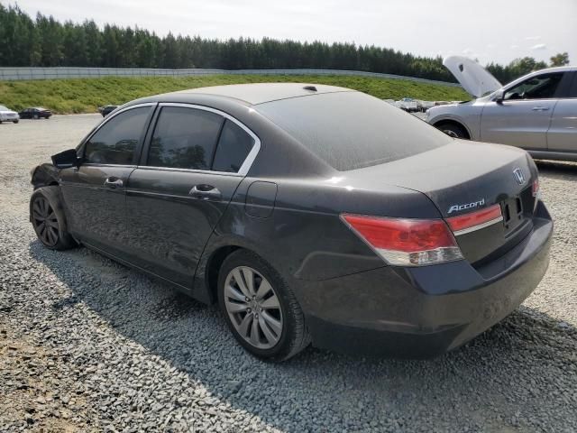 2011 Honda Accord EXL