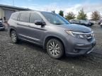 2019 Honda Pilot EXL