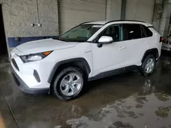 Salvage cars for sale from Copart Ham Lake, MN: 2020 Toyota Rav4 LE