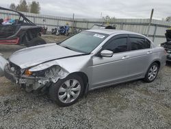 Honda salvage cars for sale: 2008 Honda Accord EXL