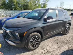 Chevrolet salvage cars for sale: 2025 Chevrolet Trailblazer LT