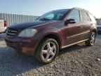 2008 Mercedes-Benz ML 350