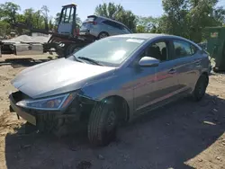 Salvage cars for sale at Baltimore, MD auction: 2019 Hyundai Elantra SE