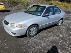 Toyota Vehiculos salvage en venta: 2001 Toyota Corolla CE