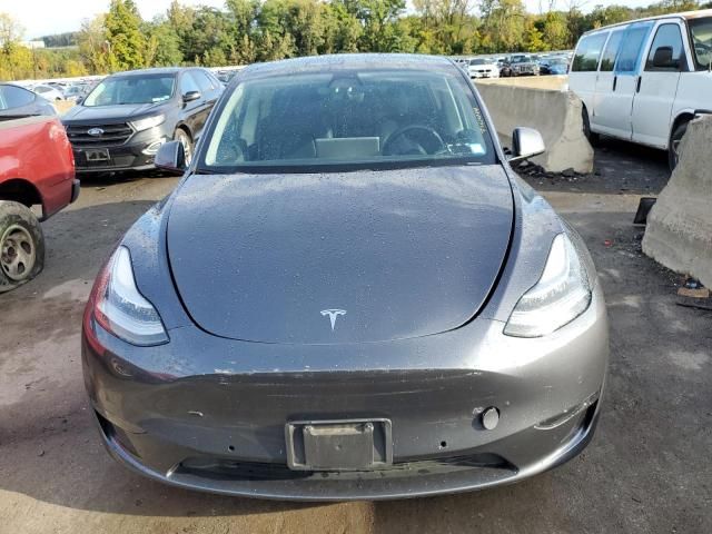 2020 Tesla Model Y