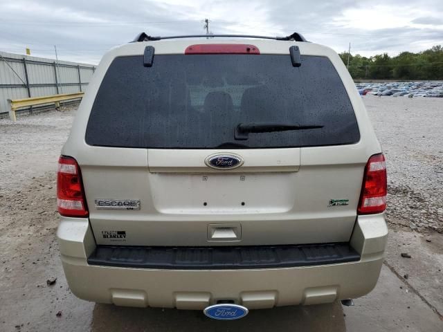 2010 Ford Escape XLT