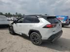 2024 Toyota Rav4 XSE