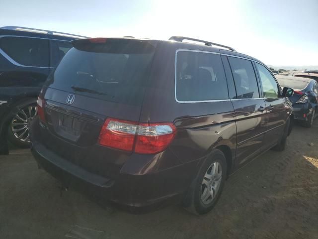 2007 Honda Odyssey EXL