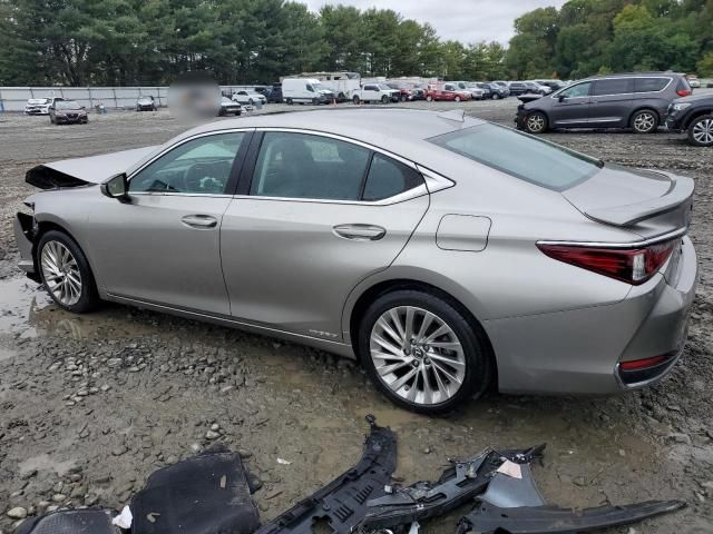 2020 Lexus ES 300H Luxury