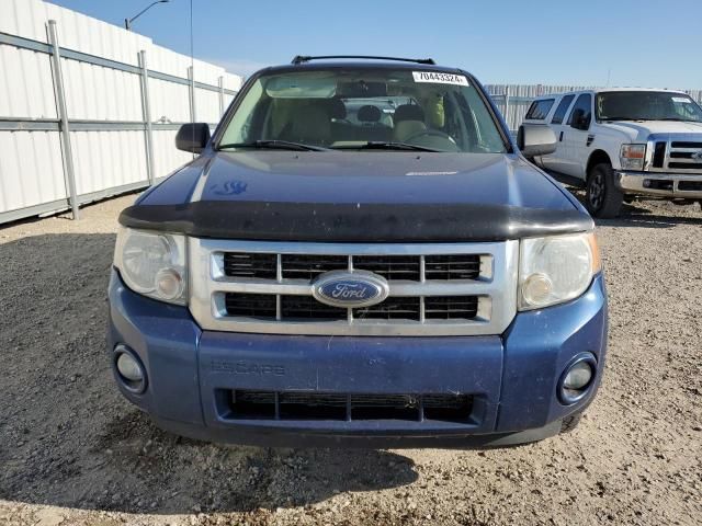 2008 Ford Escape XLT