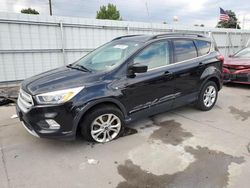 Salvage cars for sale at Littleton, CO auction: 2019 Ford Escape SEL