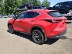 2024 Lexus NX 350H Base