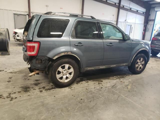 2011 Ford Escape Limited