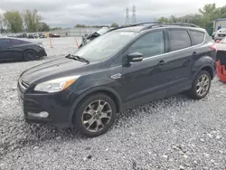 Ford salvage cars for sale: 2013 Ford Escape SEL