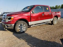 Ford f-150 Vehiculos salvage en venta: 2013 Ford F150 Supercrew