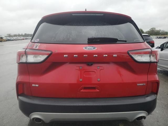 2020 Ford Escape SE Sport