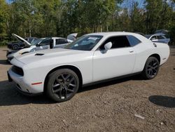 2023 Dodge Challenger SXT en venta en Cookstown, ON