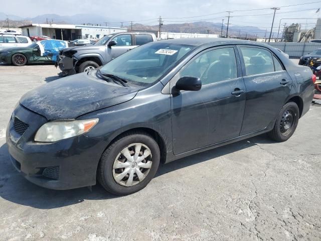 2010 Toyota Corolla Base