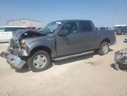 Salvage cars for sale at Amarillo, TX auction: 2013 Ford F150 Supercrew