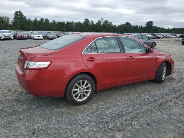 2010 Toyota Camry Hybrid