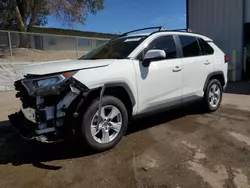 Salvage cars for sale at Albuquerque, NM auction: 2019 Toyota Rav4 XLE