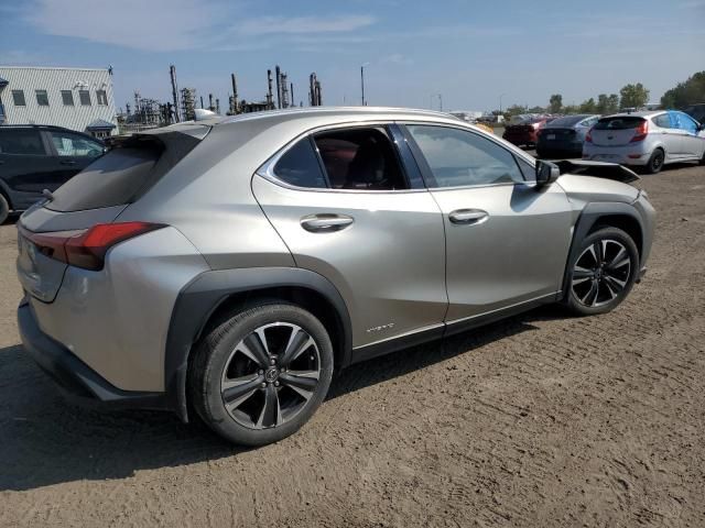 2019 Lexus UX 250H