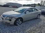 2008 Chevrolet Malibu 1LT